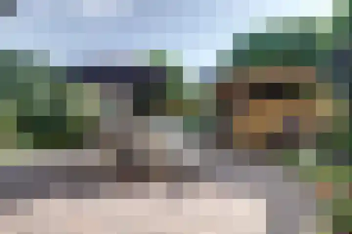 Zuider Parallelweg 5 Velp thumbnail 61