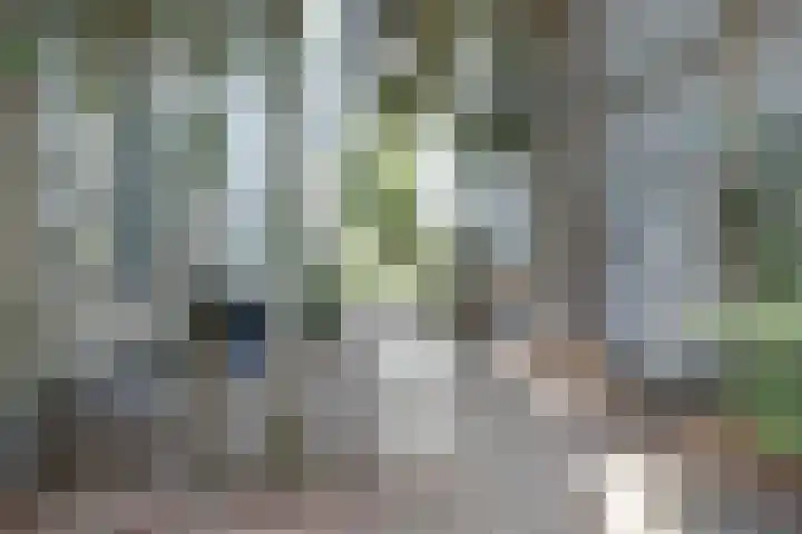 Zuider Parallelweg 5 Velp thumbnail 63