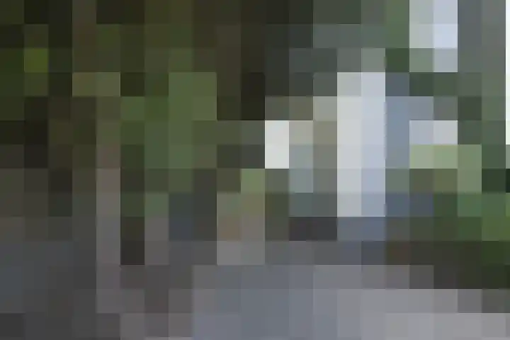 Zuider Parallelweg 5 Velp thumbnail 64