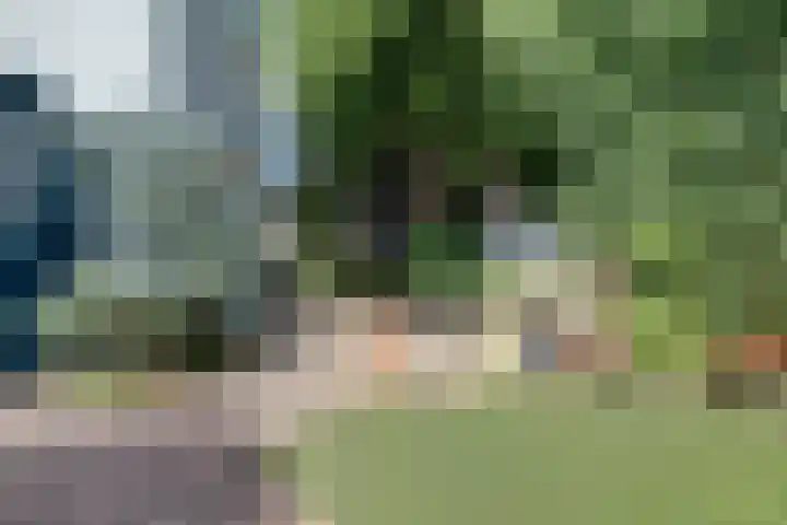 Zuider Parallelweg 5 Velp thumbnail 65