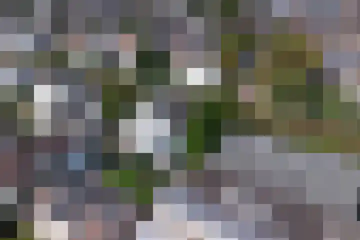Zuider Parallelweg 5 Velp thumbnail 70
