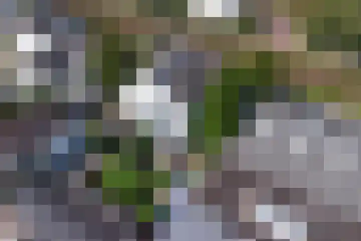 Zuider Parallelweg 5 Velp thumbnail 71