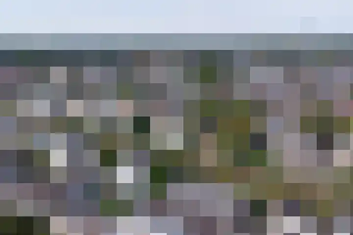 Zuider Parallelweg 5 Velp thumbnail 74