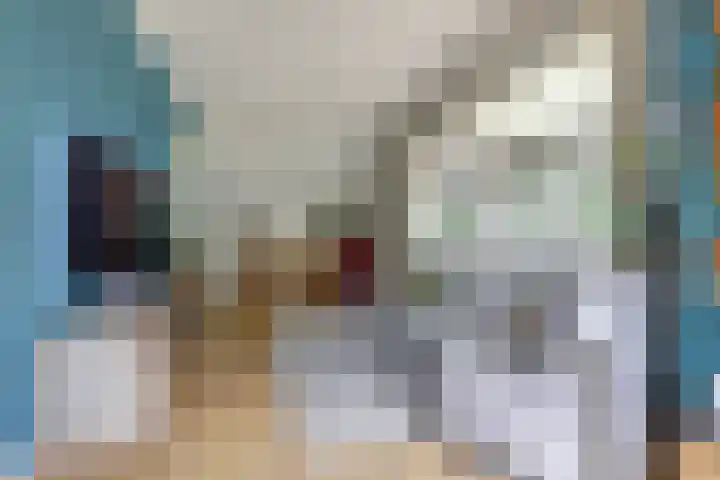 Zuider Parallelweg 5 Velp thumbnail 8