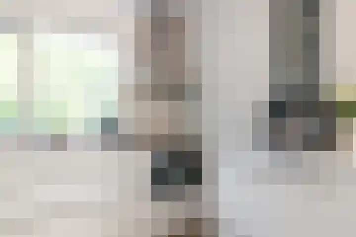 Zuiderbreedte 21 De Meern thumbnail 10