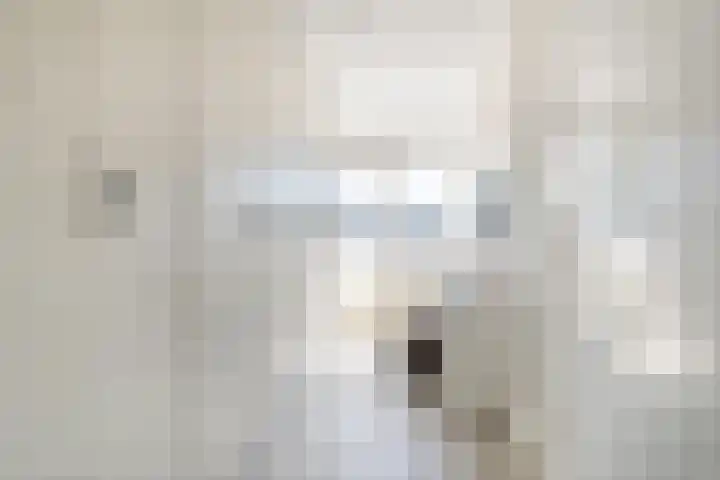 Zuiderbreedte 21 De Meern thumbnail 16