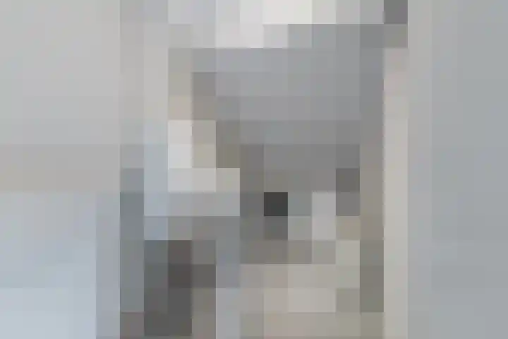 Zuiderbreedte 21 De Meern thumbnail 22