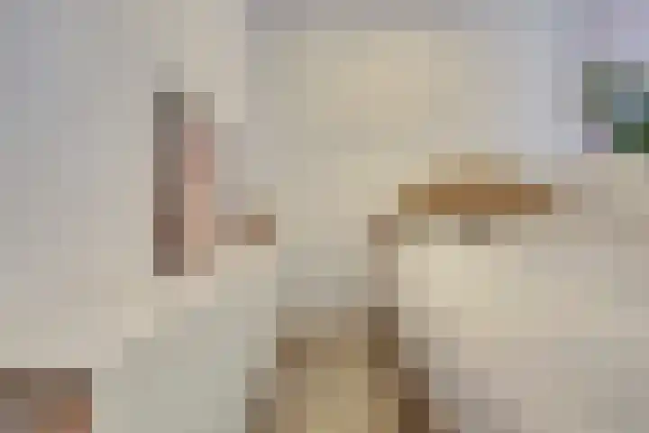 Zuiderbreedte 21 De Meern thumbnail 25