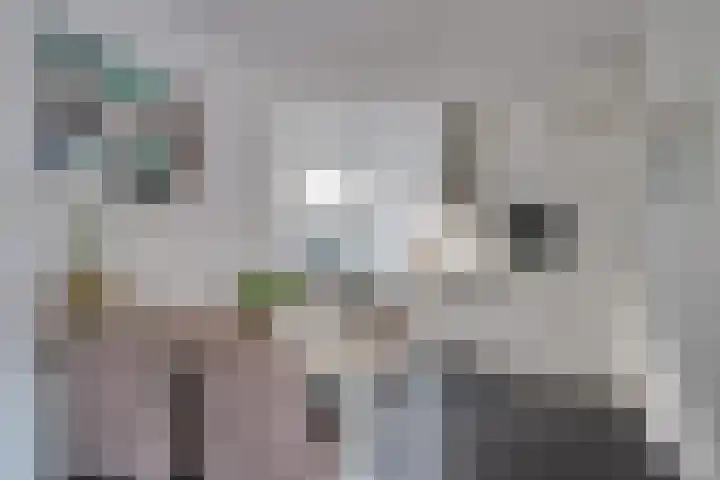 Zuiderbreedte 21 De Meern thumbnail 26