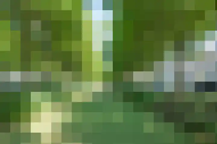 Zuiderbreedte 21 De Meern thumbnail 27