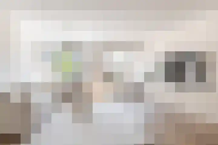 Zuiderbreedte 21 De Meern thumbnail 6