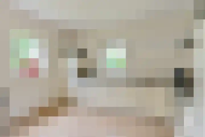 Zuiderdiep 21 Valthermond thumbnail 25