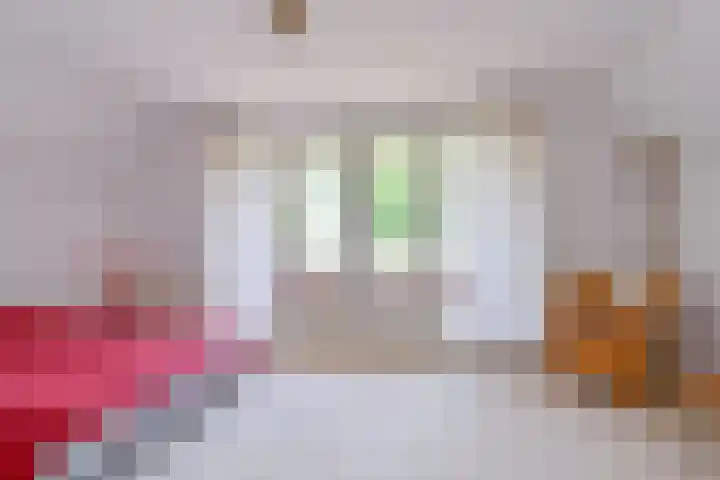 Zuiderdiep 21 Valthermond thumbnail 44
