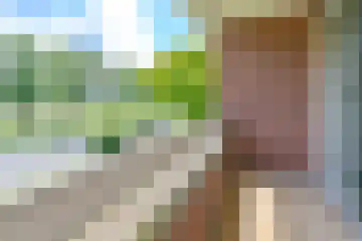 Zuiderdiep 21 Valthermond thumbnail 46