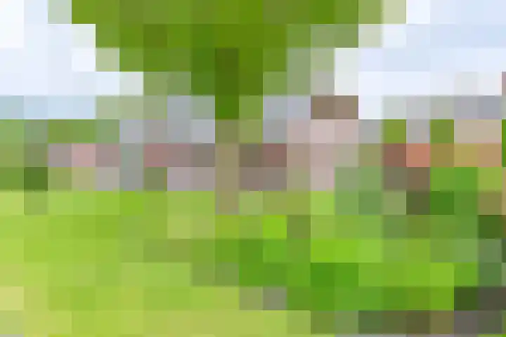 Zuiderdiep 21 Valthermond thumbnail 5