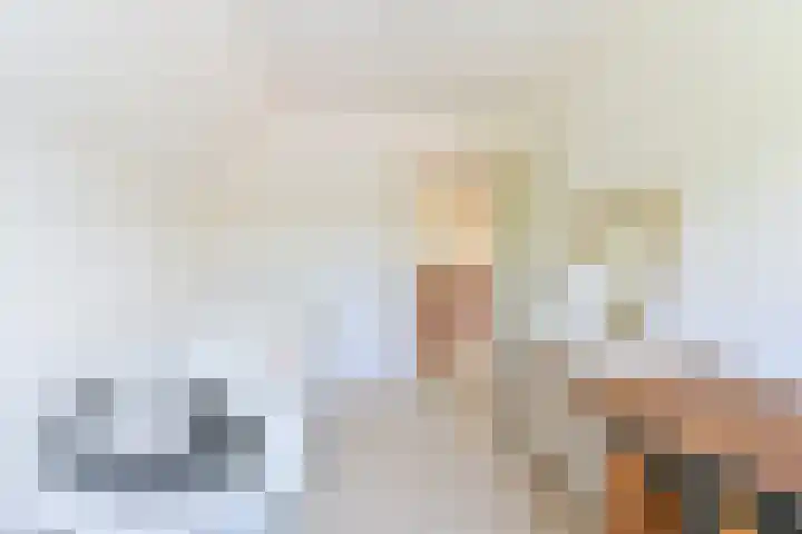 Zuiderdiep 21 Valthermond thumbnail 57