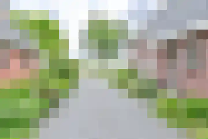 Zuiderdiep 21 Valthermond thumbnail 7