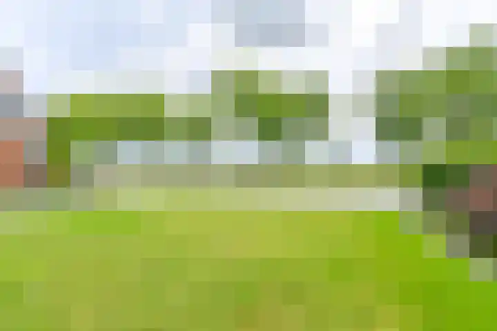 Zuiderdiep 21 Valthermond thumbnail 70
