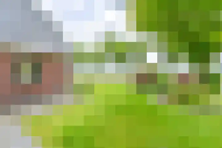 Zuiderdiep 21 Valthermond thumbnail 71