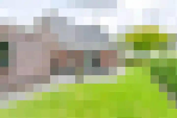 Zuiderdiep 21 Valthermond thumbnail 72
