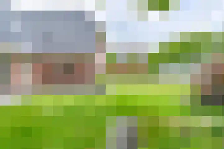 Zuiderdiep 21 Valthermond thumbnail 74