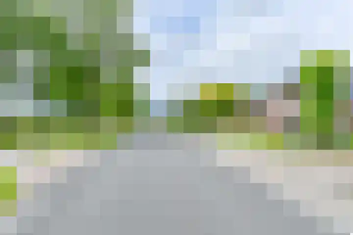 Zuiderdiep 21 Valthermond thumbnail 75