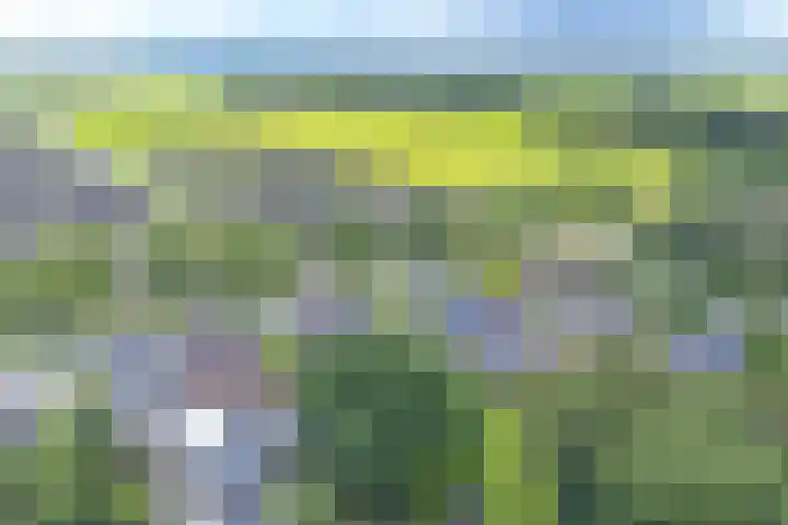 Zuiderdiep 21 Valthermond thumbnail 77