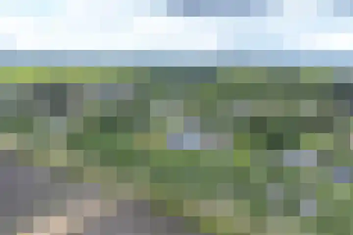 Zuiderdiep 21 Valthermond thumbnail 78