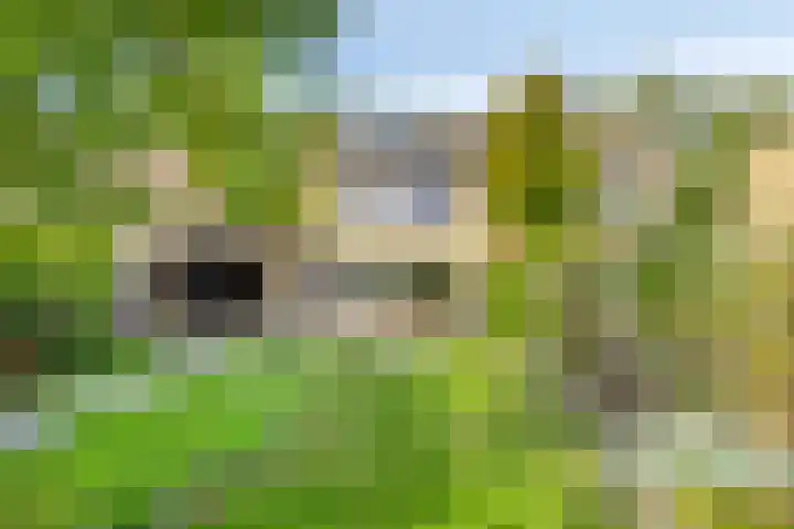 Zuiderdiep 6 Deurne thumbnail 5