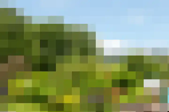 Zuidereinde 169 's-Graveland thumbnail 31