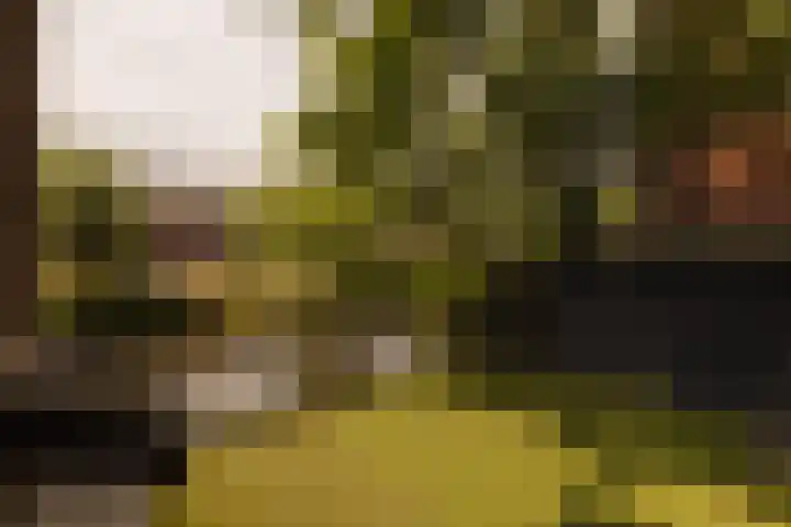 Zuidereinde 24 's-Graveland thumbnail 10