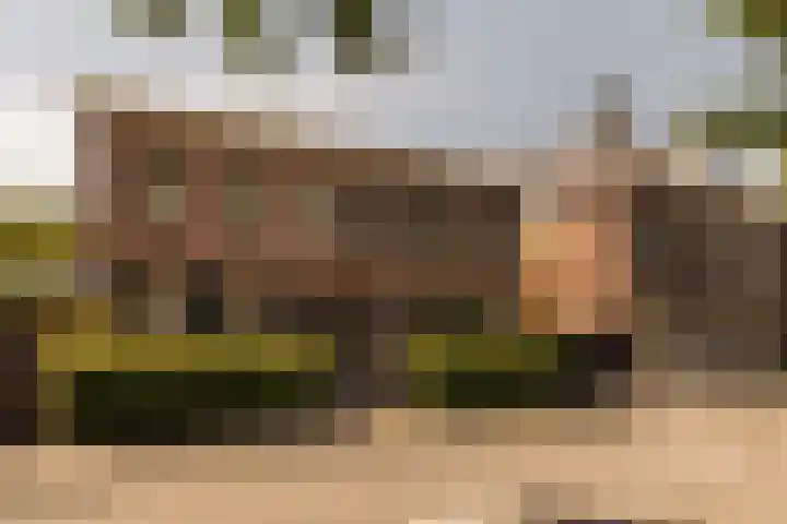 Zuidereinde 24 's-Graveland thumbnail 26