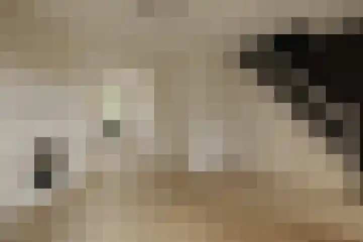 Zuidereinde 24 's-Graveland thumbnail 7