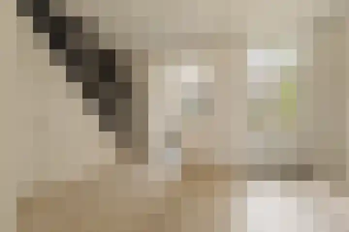 Zuidereinde 24 's-Graveland thumbnail 8
