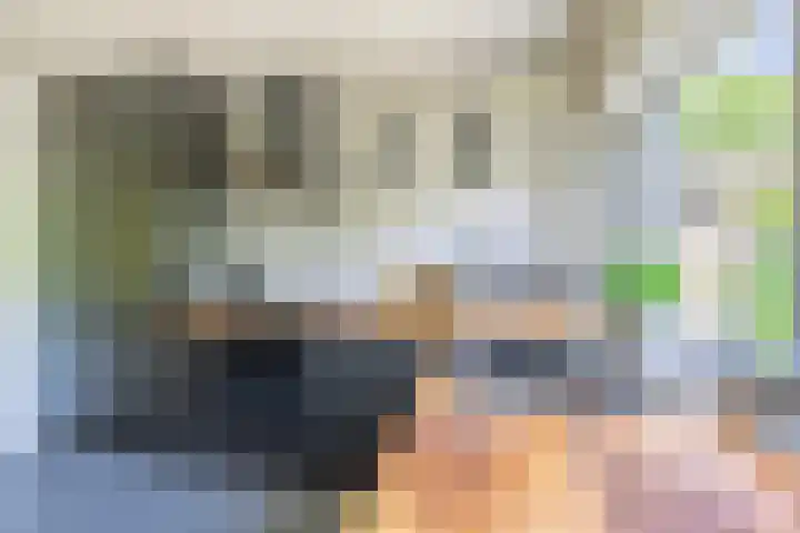 Zuidereinde 79 's-Graveland thumbnail 13
