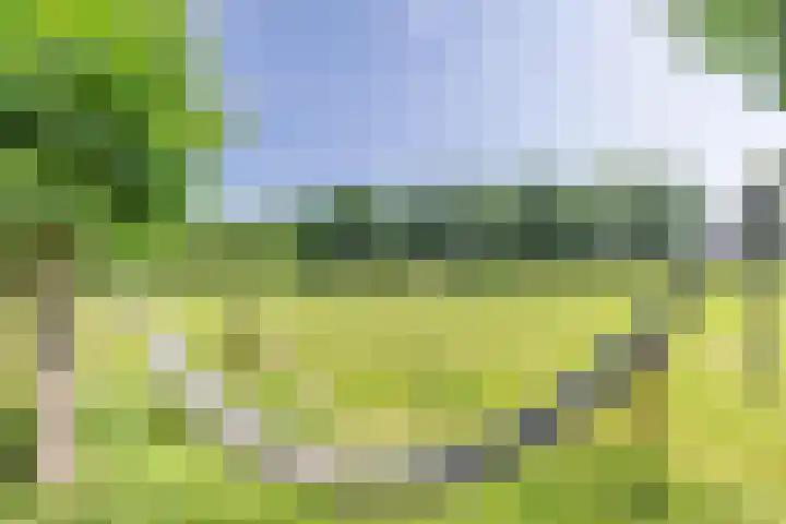 Zuidereinde 79 's-Graveland thumbnail 35