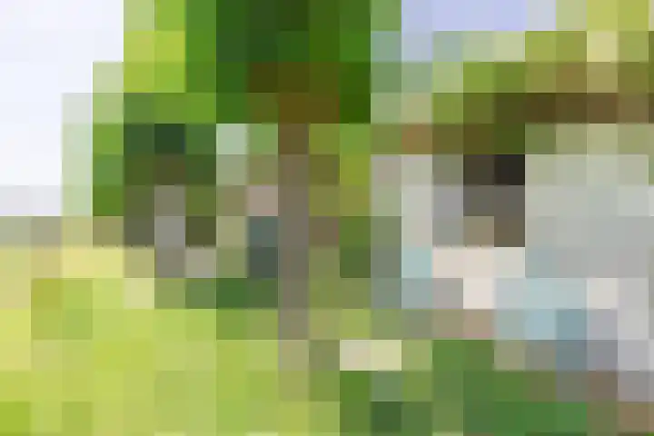 Zuidereinde 79 's-Graveland thumbnail 38