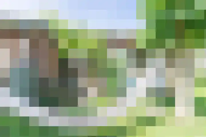 Zuidereinde 79 's-Graveland thumbnail 39