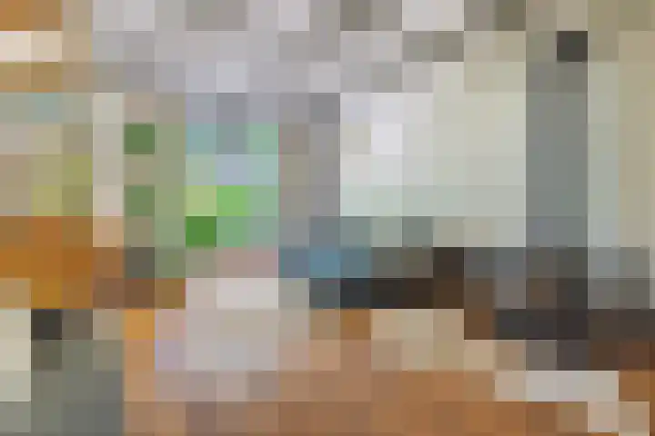 Zuidereinde 79 's-Graveland thumbnail 4