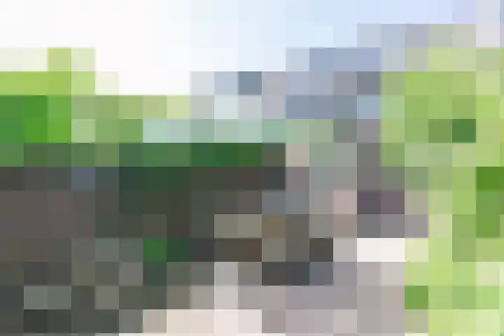 Zuidereinde 79 's-Graveland thumbnail 40