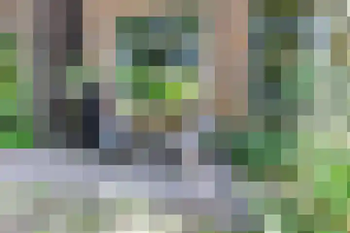 Zuidereinde 79 's-Graveland thumbnail 43