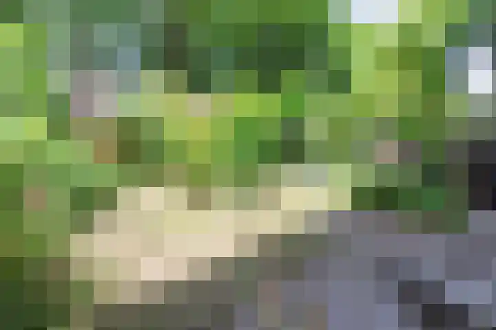 Zuidereinde 79 's-Graveland thumbnail 44