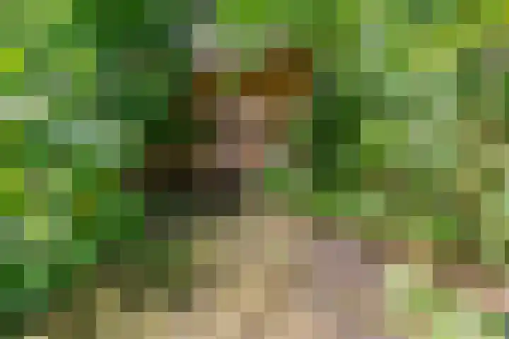 Zuidereinde 79 's-Graveland thumbnail 45