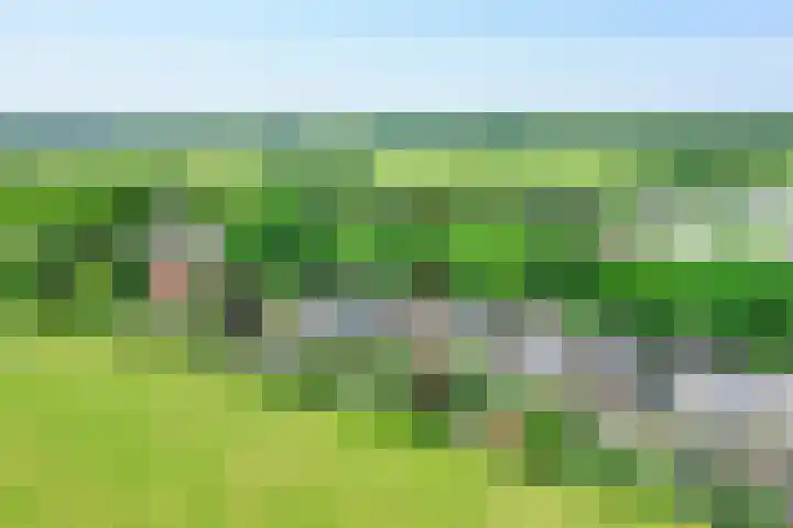 Zuidereinde 79 's-Graveland thumbnail 48