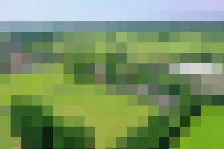 Zuidereinde 79 's-Graveland thumbnail 49