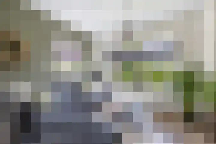 Zuiderend 80 Drachten thumbnail 18