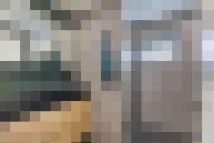 Zuiderend 80 Drachten thumbnail 29