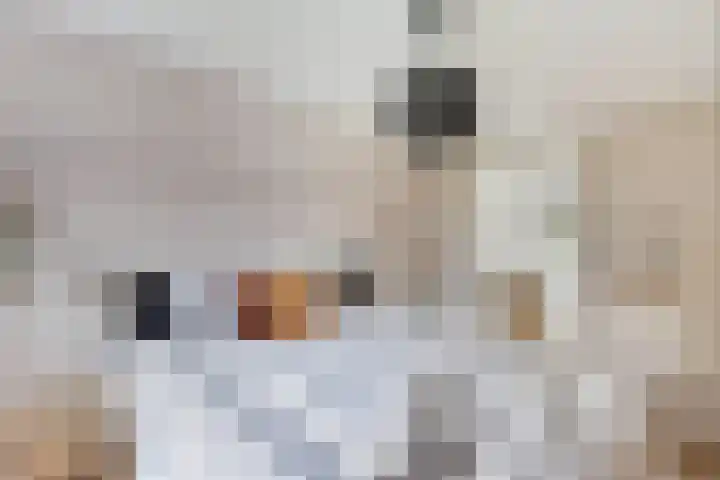 Zuiderend 80 Drachten thumbnail 34