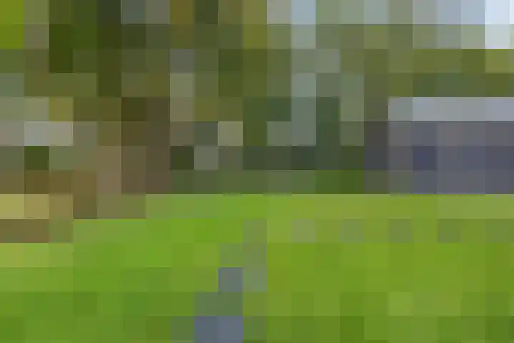 Zuiderend 80 Drachten thumbnail 48