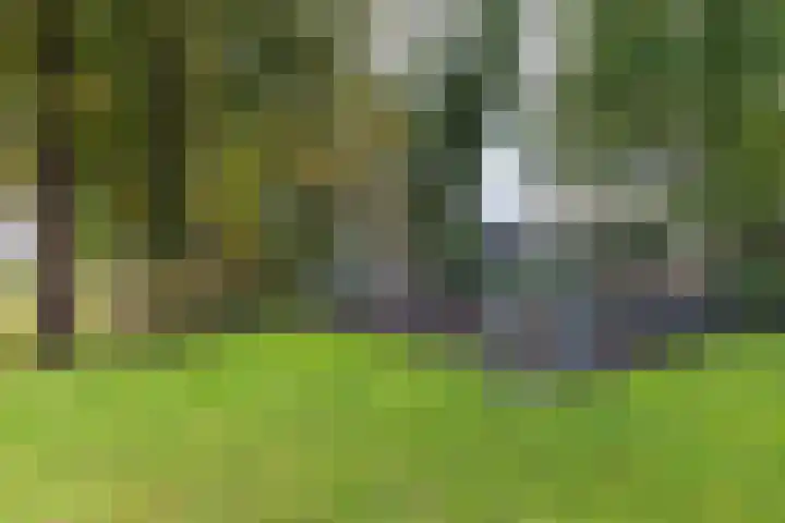 Zuiderend 80 Drachten thumbnail 49